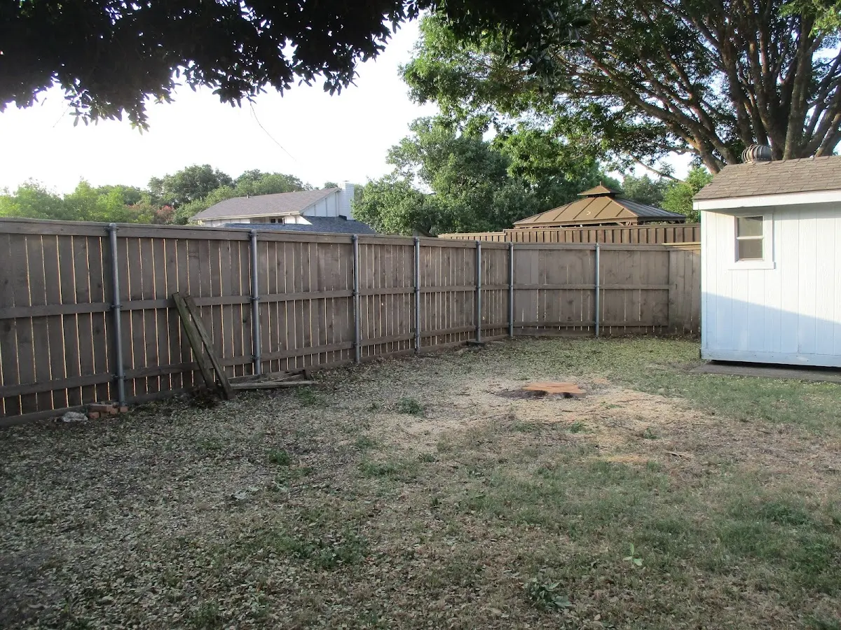 Cleared yard after professional tree removal in Carthage